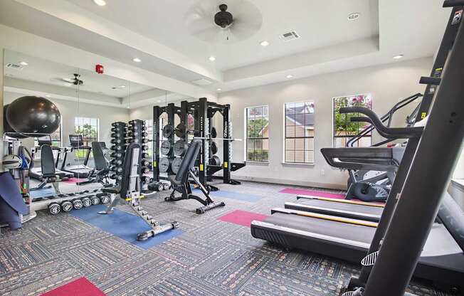 A gym with a variety of equipment including treadmills, weights, and exercise balls.