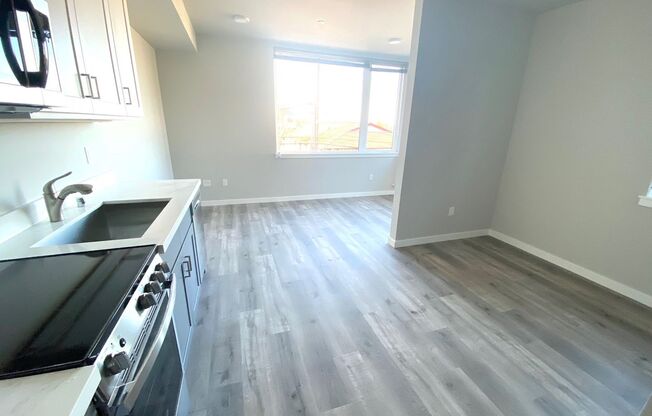 1 bed, 1 bath, 350 sqft, $1,595, Unit 201