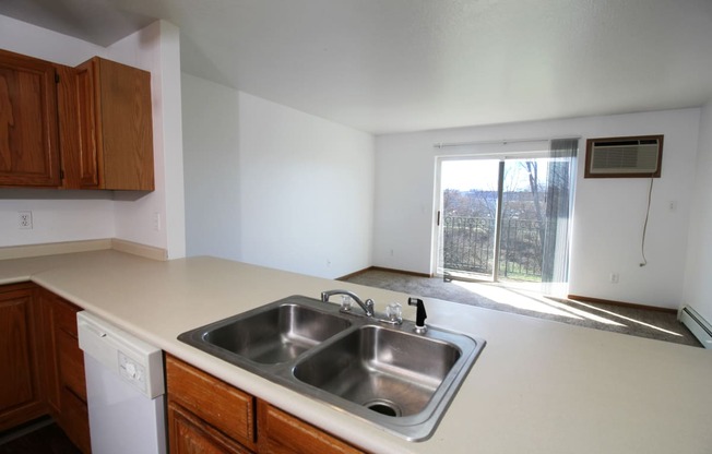 a kitchen with a sink and a window