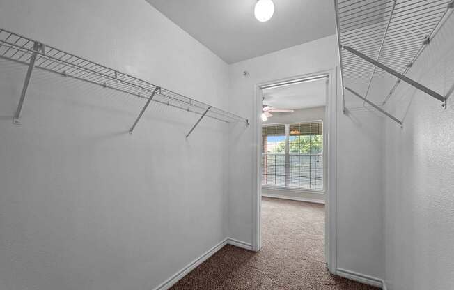 A white room with a carpeted floor and a closet with shelves.