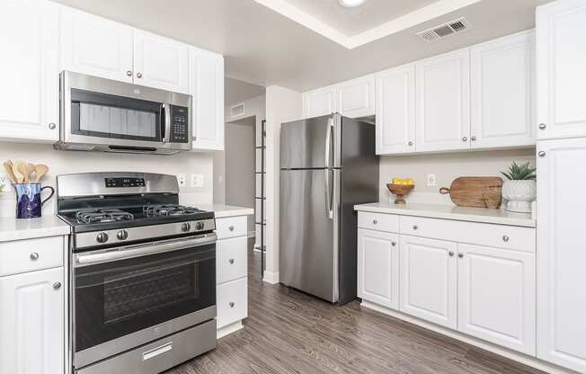 The Cascades Apartments stainless steel appliances