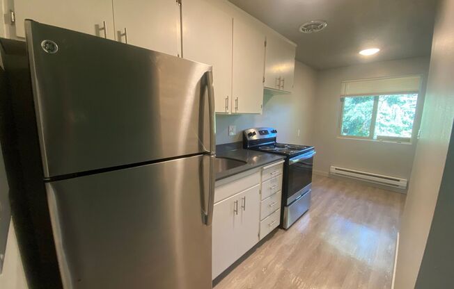 1 bed, 1 bath, 525 sqft, $1,350, Unit 19
