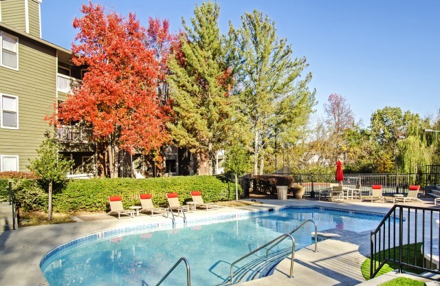 Sparkling Pool | Apartments in Hermitage, TN | Highlands at the Lake
