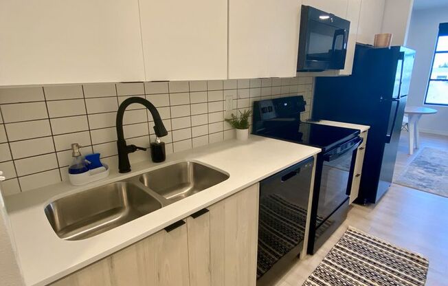 Studio, 1 bath, 365 sqft, $1,015, Unit 221