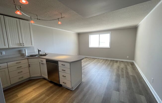 1 bed, 1 bath, $1,095