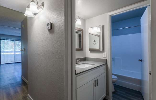 a bathroom with a sink and a mirror and a toilet