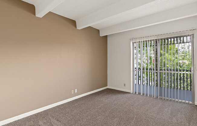 Large Windows in Living room!