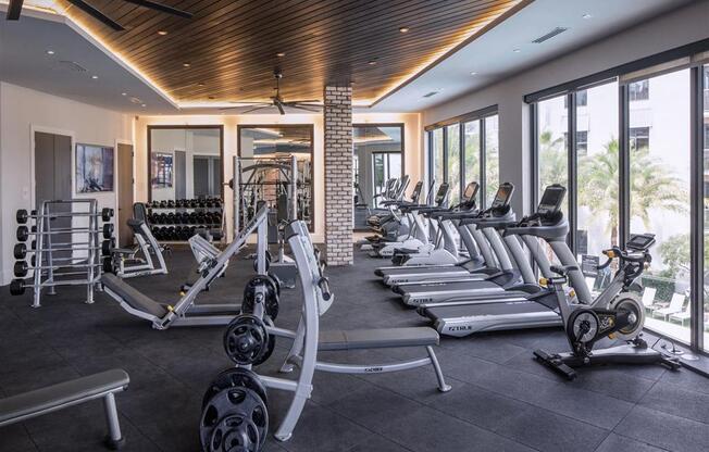 cardio machines and free weights