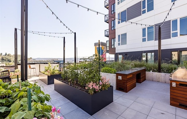 an outdoor patio with benches and plants