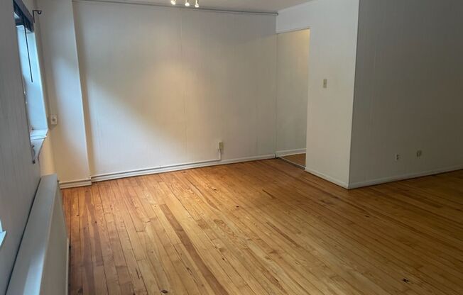 Studio, 1 bath, 487 sqft, $1,275, Unit Fifth 108