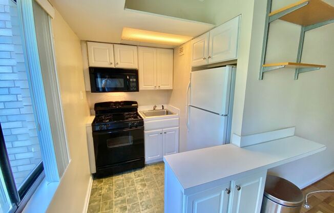 Wilshire Park Condo Studio with Den with Park views in Cleveland Park!