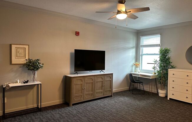 Studio, 1 bath, 500 sqft, $1,099, Unit 5209
