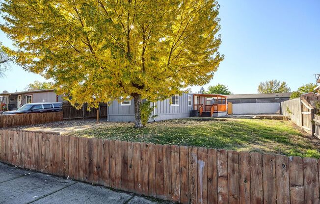 Cozy Home and Beautiful Spacious Yard