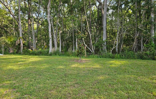 *****BEAUTIFUL 4/2 HOME IN PALM COAST