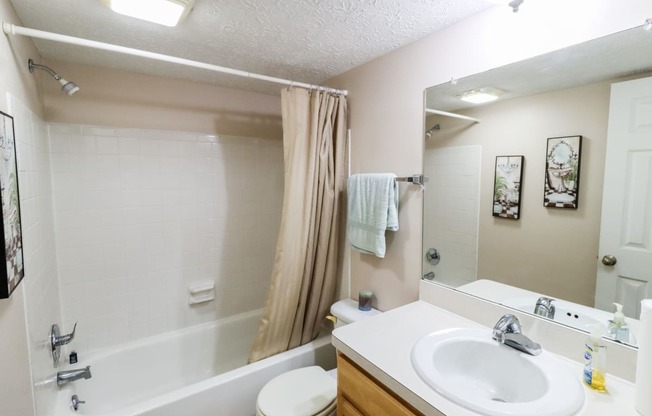 the preserve at ballantyne commons apartment bathroom with tub sink and mirror