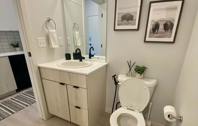 Studio, 1 bath, 365 sqft, $1,015, Unit 221