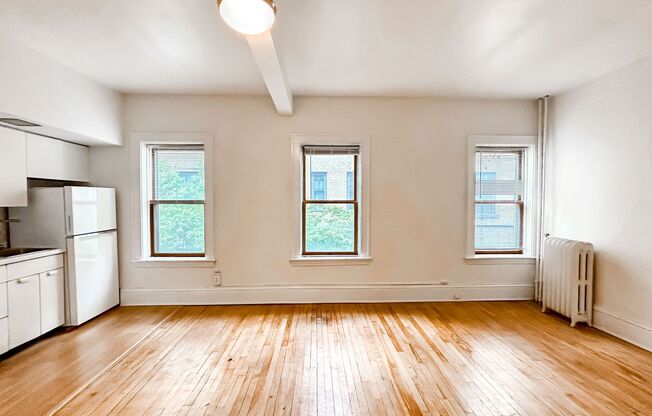 Studio, 1 bath, 325 sqft, $905, Unit 204