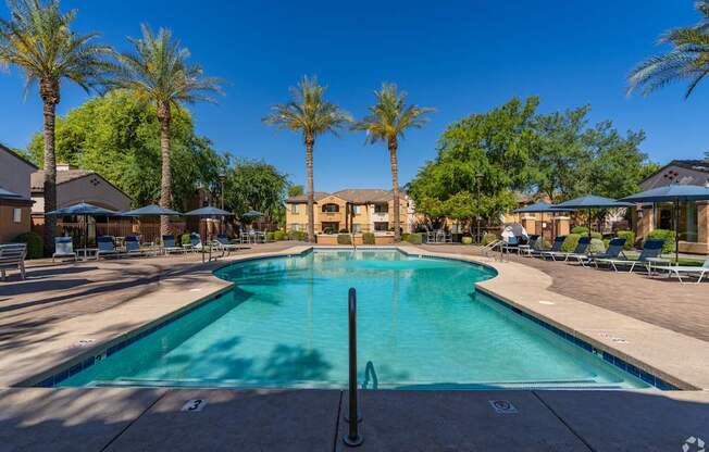 A large swimming pool surrounded by palm trees and lounge chairs.