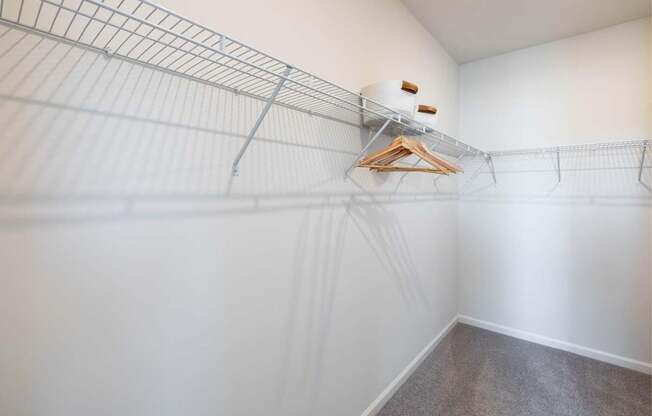 Large Closet View at Evolve at Parkway Apartment Homes, North Carolina, 28027