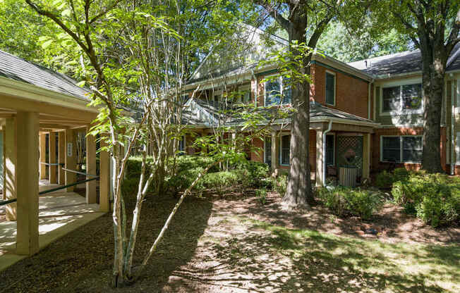 the front yard of a house with trees and a pathway