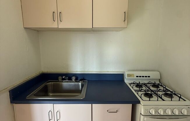 Studio, 1 bath, 308 sqft, $1,175, Unit Bayard Manor 302