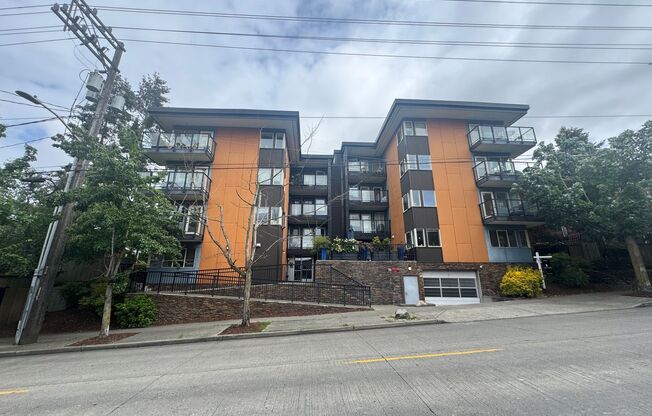 1Bd/1Ba Seattle Condo