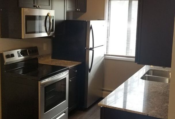 1 bed, 1 bath, 600 sqft, $1,099, Unit 304