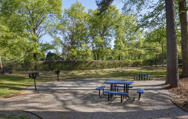 a picnic area with a blue picnic table and two blue benches in front of a grassy