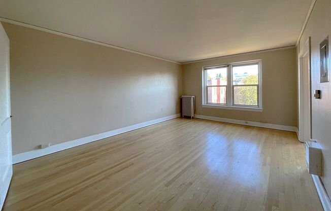 Studio, 1 bath, 500 sqft, $1,395, Unit 410