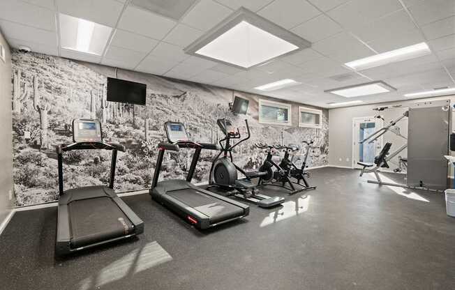 A gym with treadmills, exercise bikes, and a wall mural.