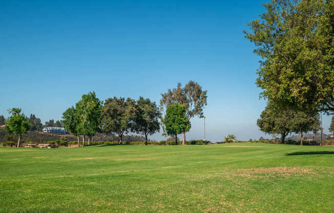 Green space at Hilltop Park