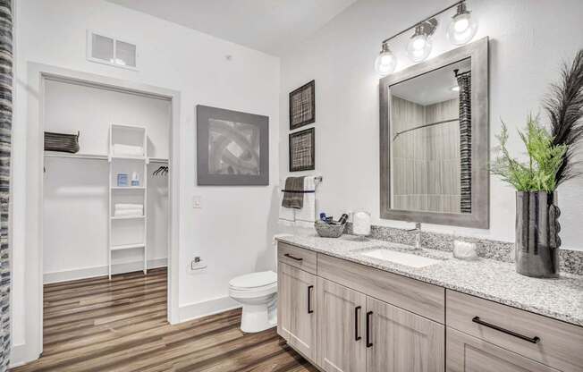 A bathroom with a toilet, sink, and mirror.