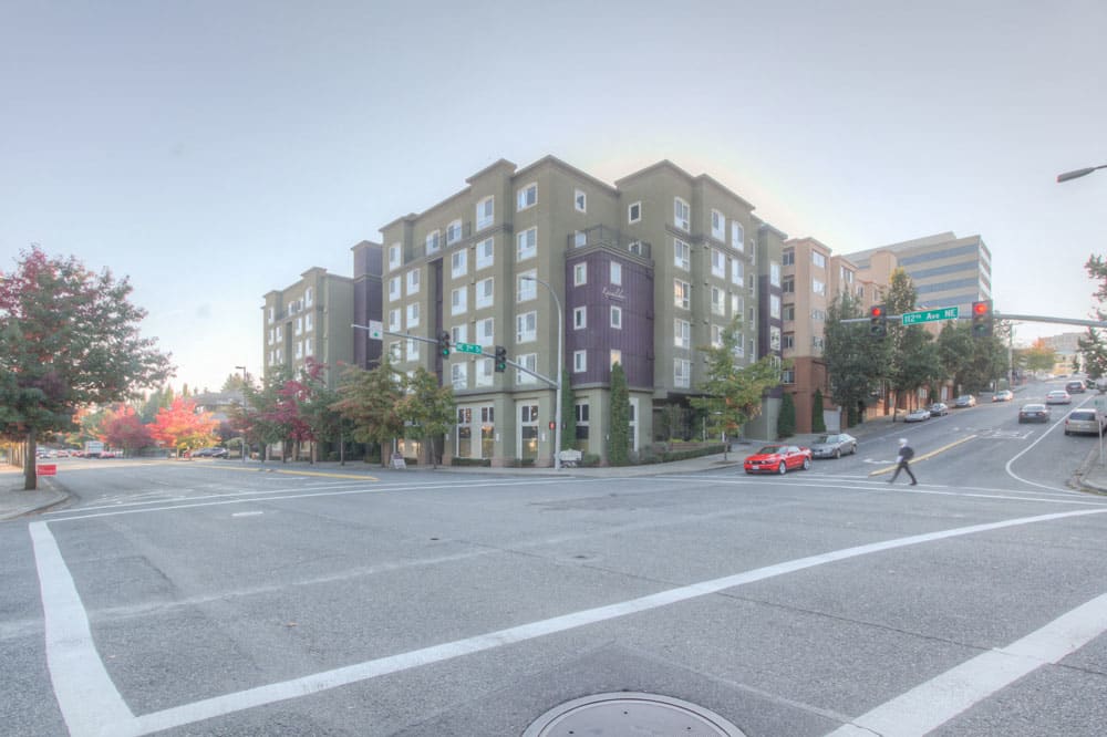 Epic Asset Management, Inc.