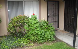 Wonderful 1 bedroom ground floor condo