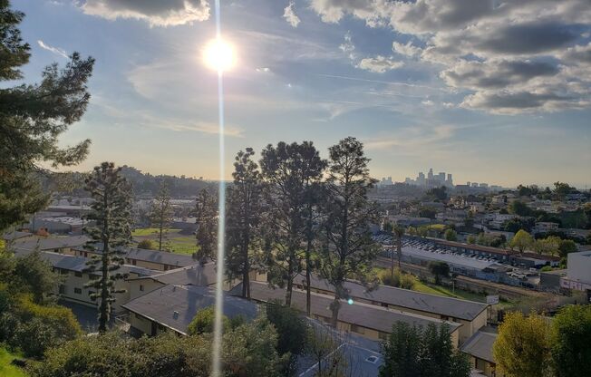 1 bed, 1 bath, 541 sqft, $1,645, Unit 1948-301