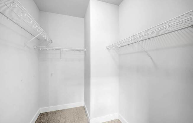 Empty white room with a carpeted floor and two white shelves.
