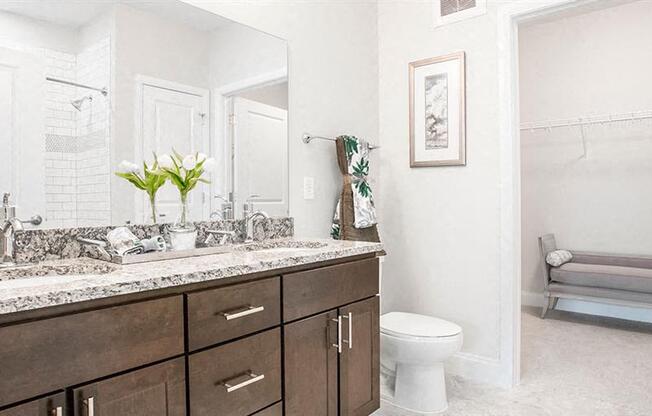 a bathroom with a sink and a toilet and a mirror