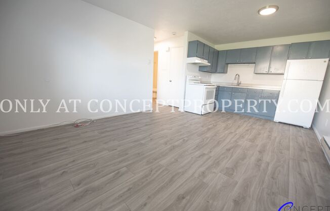 1 bed, 1 bath, 480 sqft, $919, Unit 139
