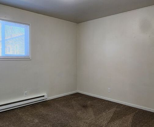 2 beds, 1 bath, $1,245