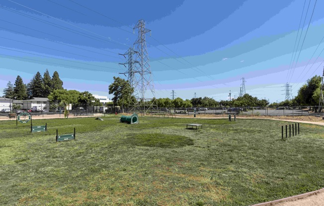 Dog Park