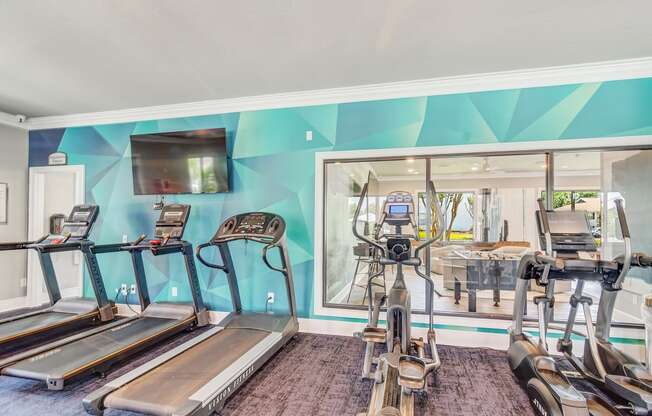 a gym with cardio machines and a television at The Vineyard of Olive Branch Apartment Homes in Olive MS 38654