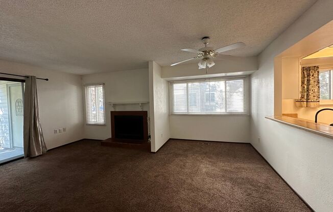 1 bed, 1 bath, $1,200