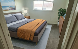 Iconic at Shoal Creek