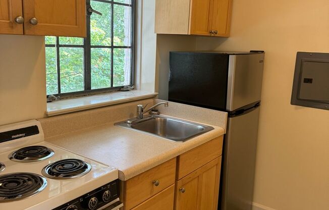 Studio, 1 bath, 380 sqft, $1,100, Unit Unit B6