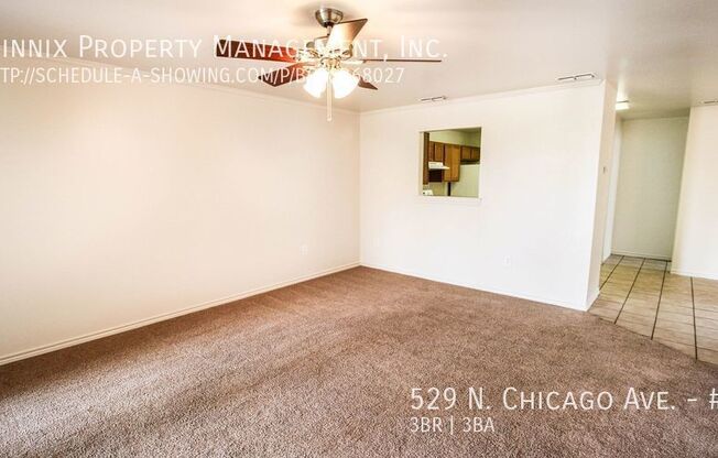 529 N Chicago Ave.