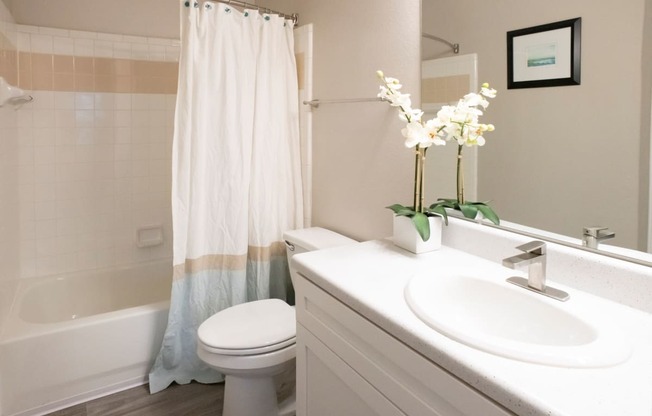 Bathroom Attached to Bedroom with Soaker Tub at Polos at Hudson Corners Apartments, South Carolina 29650