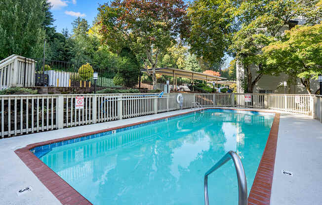 A small pool surrounded by a fence.