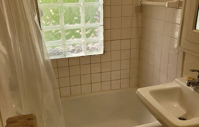 Studio, 1 bath, $775, Unit 205