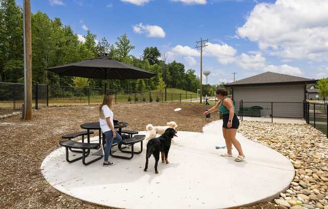 two women and two dogs in a dog park
