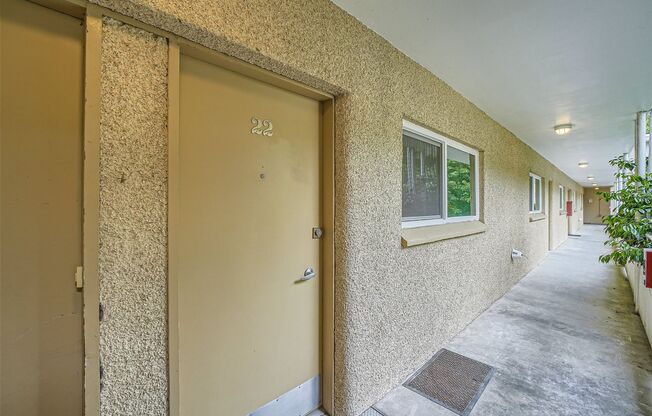Newly Remodeled 1bed/1bath Apartment on Alki!